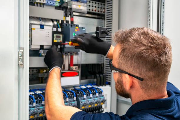 Best Electric Panel Repair  in Azalea Park, FL
